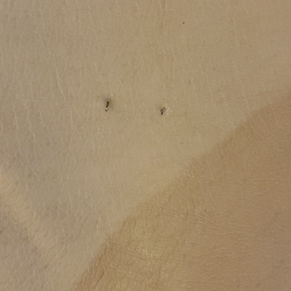 Bernado Leather Jacket - image 3